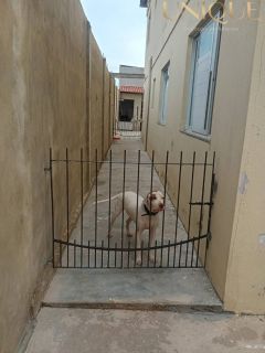 Casa no bairro Robalo