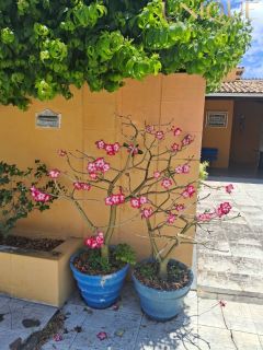 OPORTUNIDADE - Casa de Condomínio com 3 Quartos, 140m² - Mosqueiro