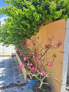 OPORTUNIDADE - Casa de Condomínio com 3 Quartos, 140m² - Mosqueiro