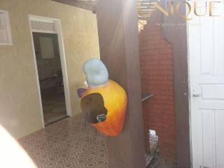 Casa a venda no Abaís