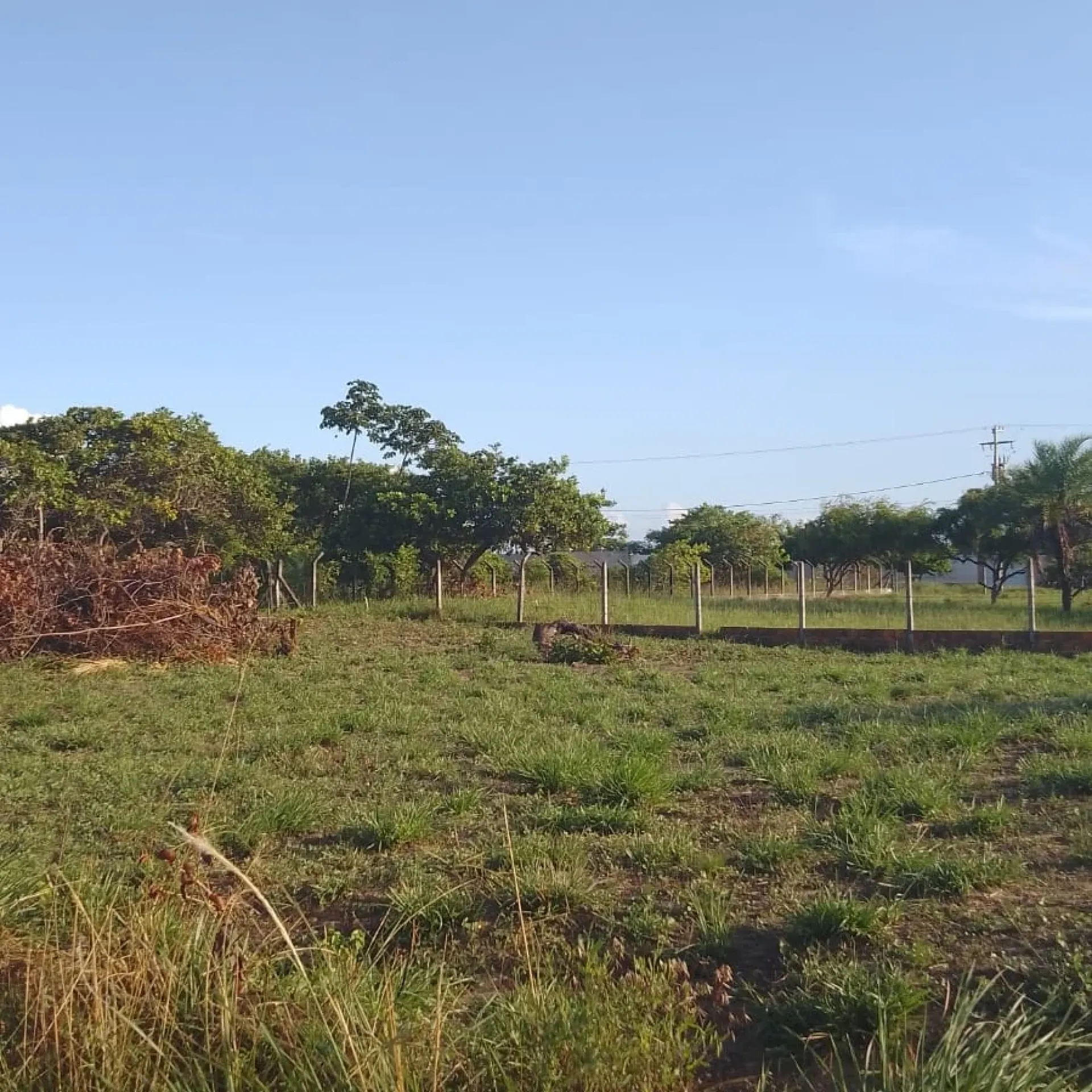 Lote Próximo da Rodovia dos Naufragos