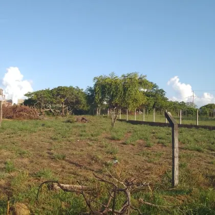 Lote Próximo da Rodovia dos Naufragos