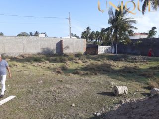 Lote a 500m da praia em rua pública - no Robalo