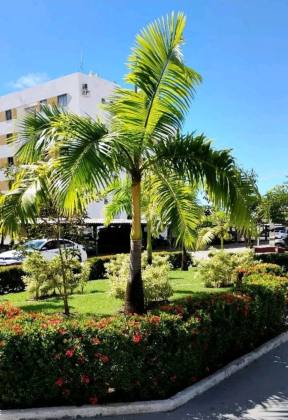 Apartamento com 3 quartos, sendo um suíte no Residencial Mar de Aruana II, Bairro Aruana.