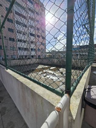 Apartamento com 2 Quartos no residencial Horto das Rosas, São Cristóvão.
