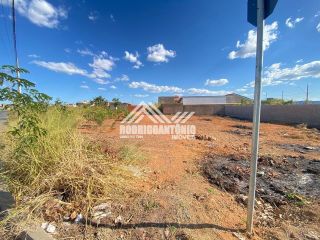 Lote no Interlagos