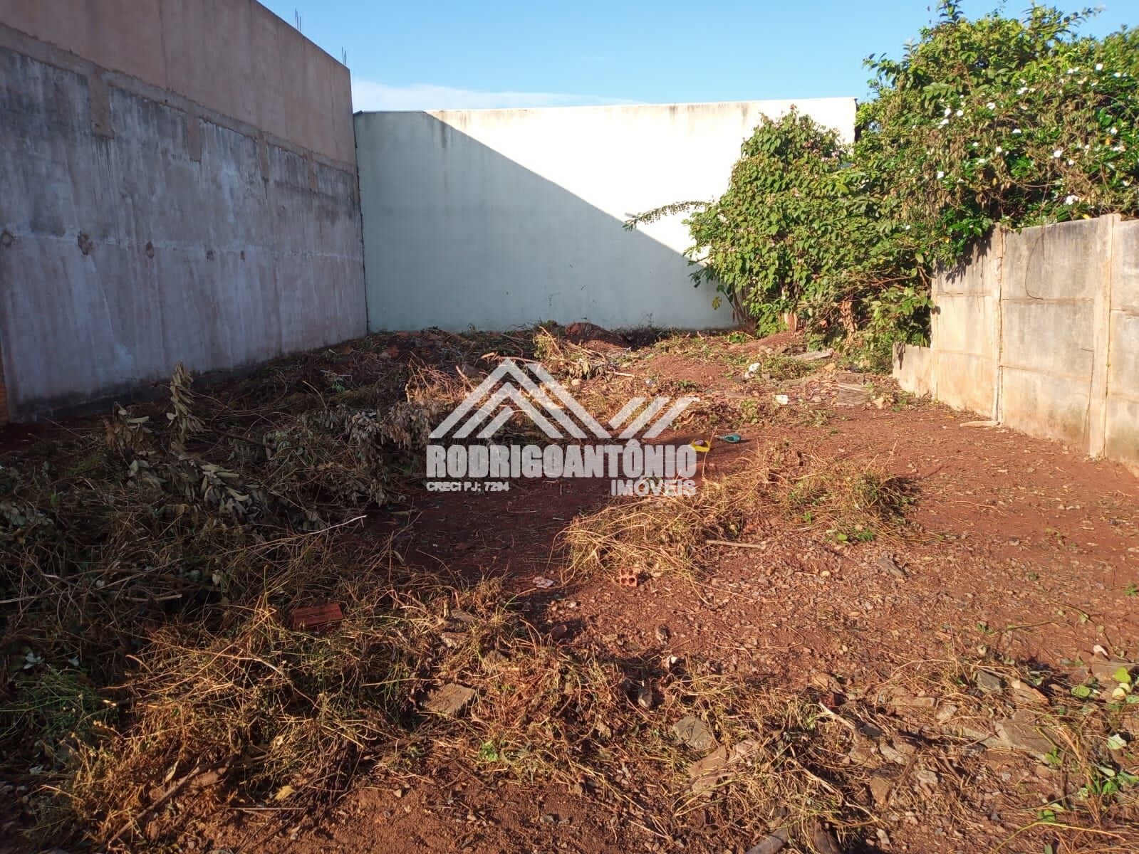 Lote no Jardim Primavera