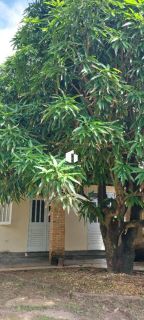 Casa na Aruana, Aracaju-SE