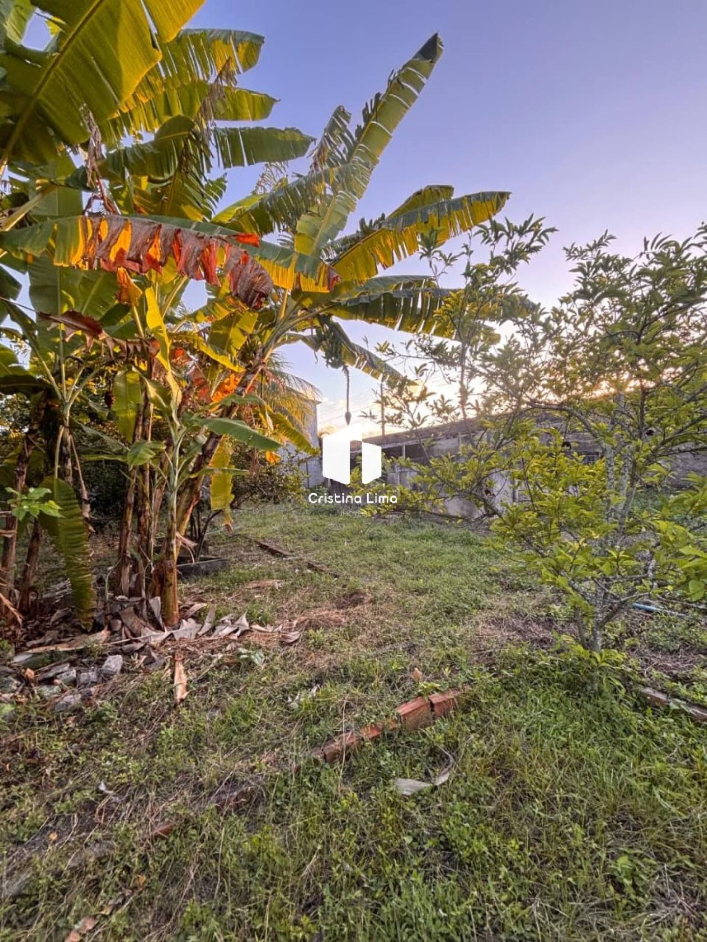 Terreno à Venda no Bairro Serrano - Itabaiana/SE