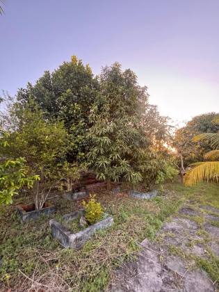 Terreno à Venda no Bairro Serrano - Itabaiana/SE