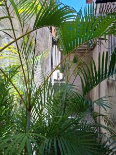 Casa Duplex no Bairro Novo Paraíso