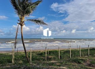 Lotes no Villaredo Barra