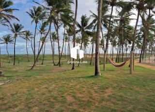 Lotes no Villaredo Barra