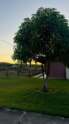 LOTE NO HARAS RESIDENCE
