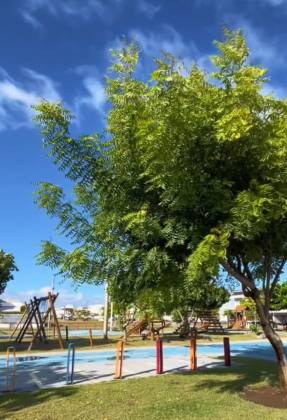 Lote Terras Alphaville I, Barra dos Coqueiros, Sergipe