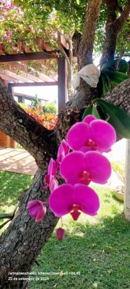 Casa no Condomínio Sol e Mar, Mosqueiro, Aracaju-SE
