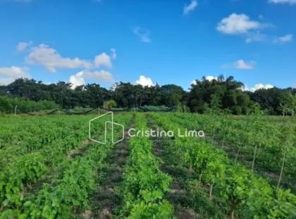 Sítio a venda em Salgado