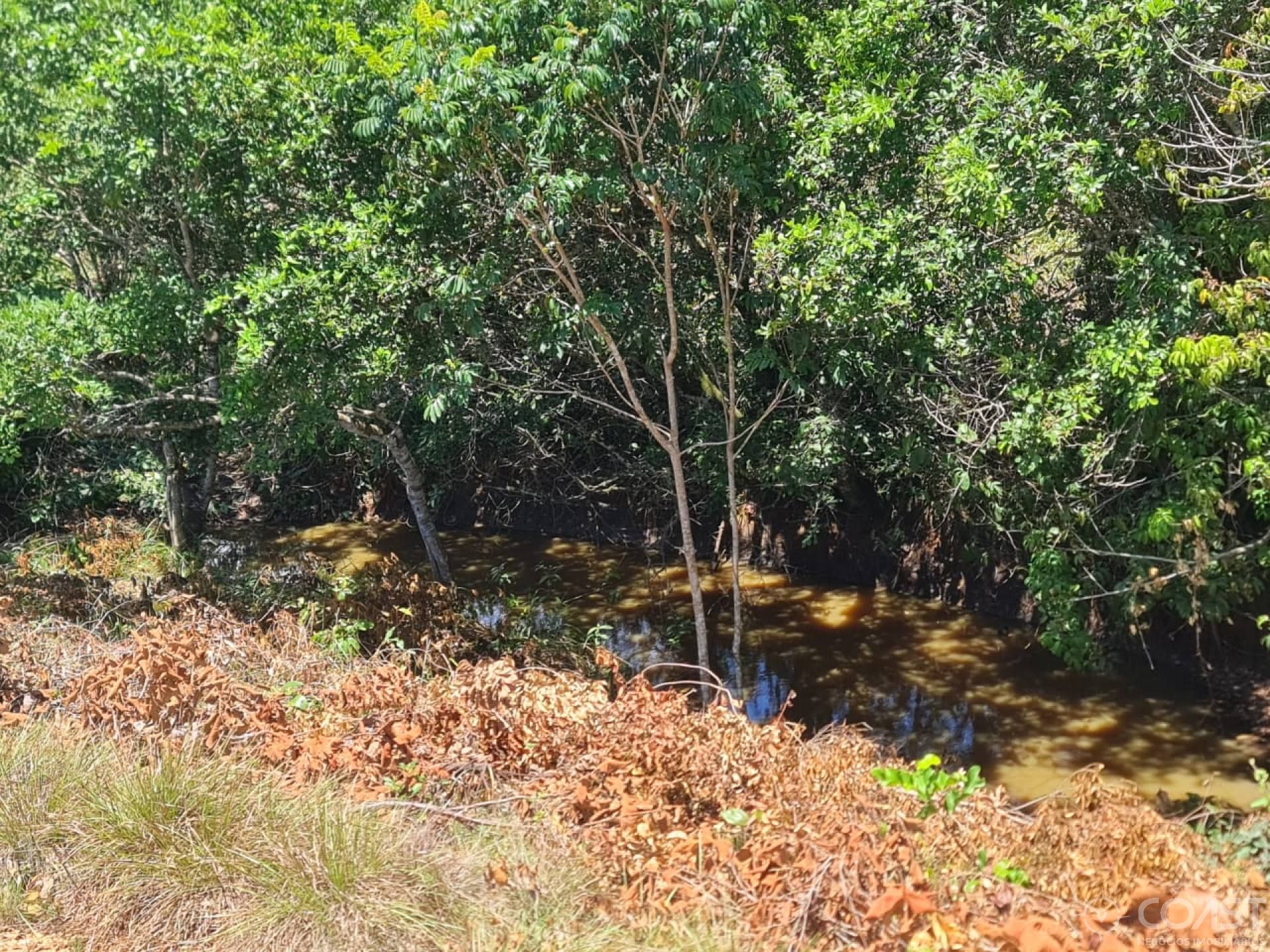 OPORTUNIDADE VENDO Lote de chácara 2.600m2, com riacho por R$ 50 mil a vista