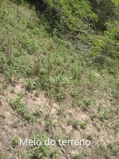 Terreno à Venda em São Cristóvão – Localização Privilegiada!
