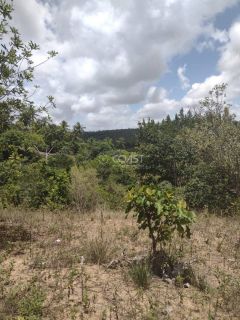Terreno à Venda em São Cristóvão – Localização Privilegiada!