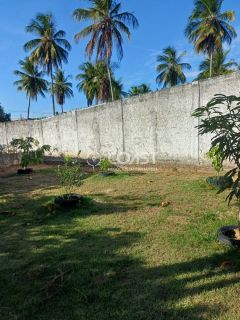 VENDO EXCELENTE CHÁCARA NO MOSQUEIRO — CONFORTO, NATUREZA E LAZER EM UM SÓ LUGAR!
