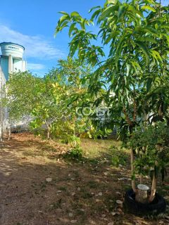 VENDO EXCELENTE CHÁCARA NO MOSQUEIRO — CONFORTO, NATUREZA E LAZER EM UM SÓ LUGAR!