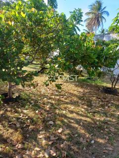 VENDO EXCELENTE CHÁCARA NO MOSQUEIRO — CONFORTO, NATUREZA E LAZER EM UM SÓ LUGAR!