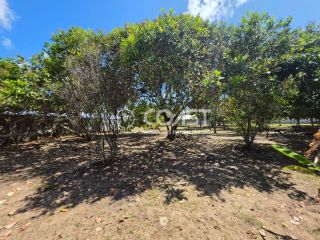VENDO CHÁCARA NO MOSQUEIRO – 4.200 m² DE NATUREZA E TRANQUILIDADE!