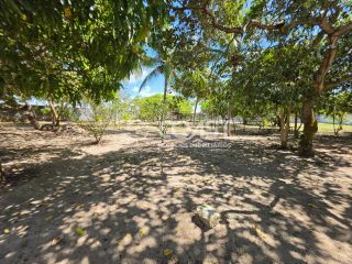 VENDO CHÁCARA NO MOSQUEIRO – 4.200 m² DE NATUREZA E TRANQUILIDADE!