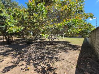 VENDO CHÁCARA NO MOSQUEIRO – 4.200 m² DE NATUREZA E TRANQUILIDADE!