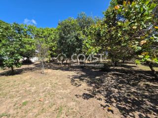 VENDO CHÁCARA NO MOSQUEIRO – 4.200 m² DE NATUREZA E TRANQUILIDADE!