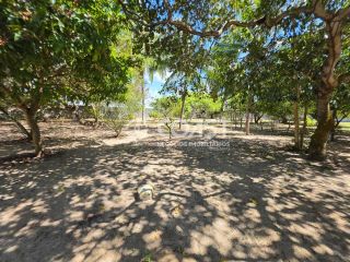 VENDO CHÁCARA NO MOSQUEIRO – 4.200 m² DE NATUREZA E TRANQUILIDADE!