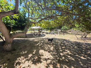 VENDO CHÁCARA NO MOSQUEIRO – 4.200 m² DE NATUREZA E TRANQUILIDADE!