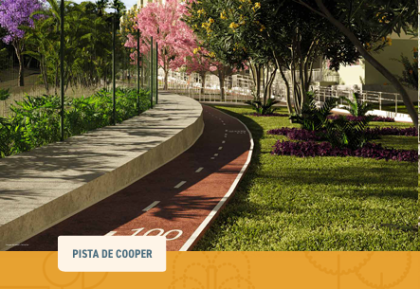 Vila  novo curado
