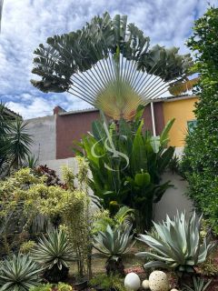 Apartamento Para Vender no bairro Itapuã em Salvador