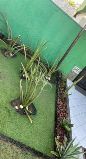 Residência Exclusiva Pé na Areia – Praia do Flamengo – Piscina, Espaço Gourmet e Lazer Completo