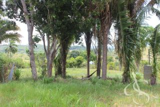 Sítio beira Barragem Santa Helena – 20,1 ha estruturados, casa sede charmosa e energia solar – Mata de São João – R$ 1.300.000