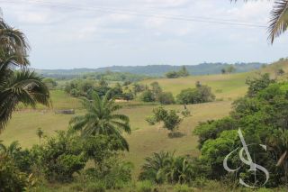 Sítio beira Barragem Santa Helena – 20,1 ha estruturados, casa sede charmosa e energia solar – Mata de São João – R$ 1.300.000