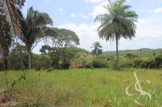 Sítio beira Barragem Santa Helena – 20,1 ha estruturados, casa sede charmosa e energia solar – Mata de São João – R$ 1.300.000