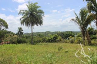Sítio beira Barragem Santa Helena – 20,1 ha estruturados, casa sede charmosa e energia solar – Mata de São João – R$ 1.300.000