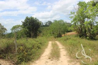 Sítio beira Barragem Santa Helena – 20,1 ha estruturados, casa sede charmosa e energia solar – Mata de São João – R$ 1.300.000