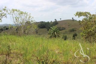 Sítio beira Barragem Santa Helena – 20,1 ha estruturados, casa sede charmosa e energia solar – Mata de São João – R$ 1.300.000