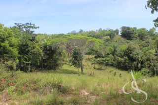 Sítio beira Barragem Santa Helena – 20,1 ha estruturados, casa sede charmosa e energia solar – Mata de São João – R$ 1.300.000