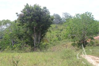 Sítio beira Barragem Santa Helena – 20,1 ha estruturados, casa sede charmosa e energia solar – Mata de São João – R$ 1.300.000
