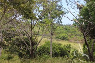 Sítio beira Barragem Santa Helena – 20,1 ha estruturados, casa sede charmosa e energia solar – Mata de São João – R$ 1.300.000