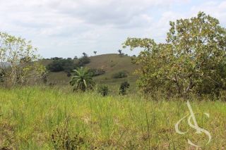 Sítio beira Barragem Santa Helena – 20,1 ha estruturados, casa sede charmosa e energia solar – Mata de São João – R$ 1.300.000