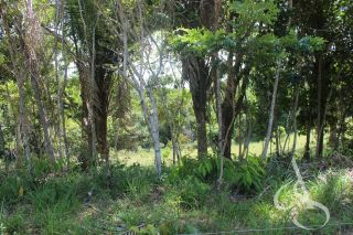 Sítio beira Barragem Santa Helena – 20,1 ha estruturados, casa sede charmosa e energia solar – Mata de São João – R$ 1.300.000