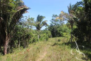 Sítio beira Barragem Santa Helena – 20,1 ha estruturados, casa sede charmosa e energia solar – Mata de São João – R$ 1.300.000