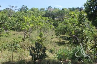 Sítio beira Barragem Santa Helena – 20,1 ha estruturados, casa sede charmosa e energia solar – Mata de São João – R$ 1.300.000