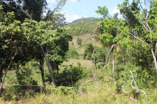 Sítio beira Barragem Santa Helena – 20,1 ha estruturados, casa sede charmosa e energia solar – Mata de São João – R$ 1.300.000